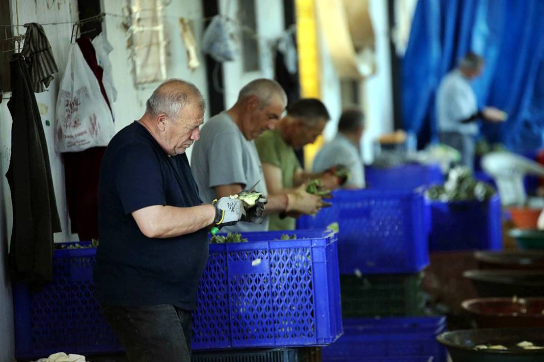 Hızlı soyan 20 erkek topladı: Kişi başı günde 2500 TL kazanıyorlar! 'Çok güçlü bir ekibimiz var, hızlıca soyuyoruz' 2